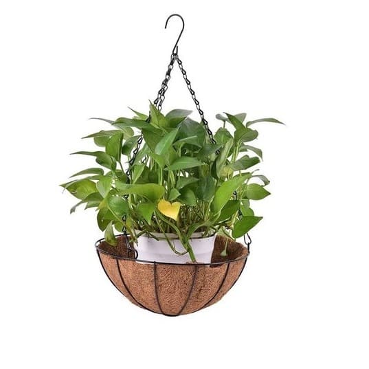 Vaso Pendurar Com Pendente De Ferro Decoração Fibra Coco 25cm Vaso Para Colocar Plantinhas