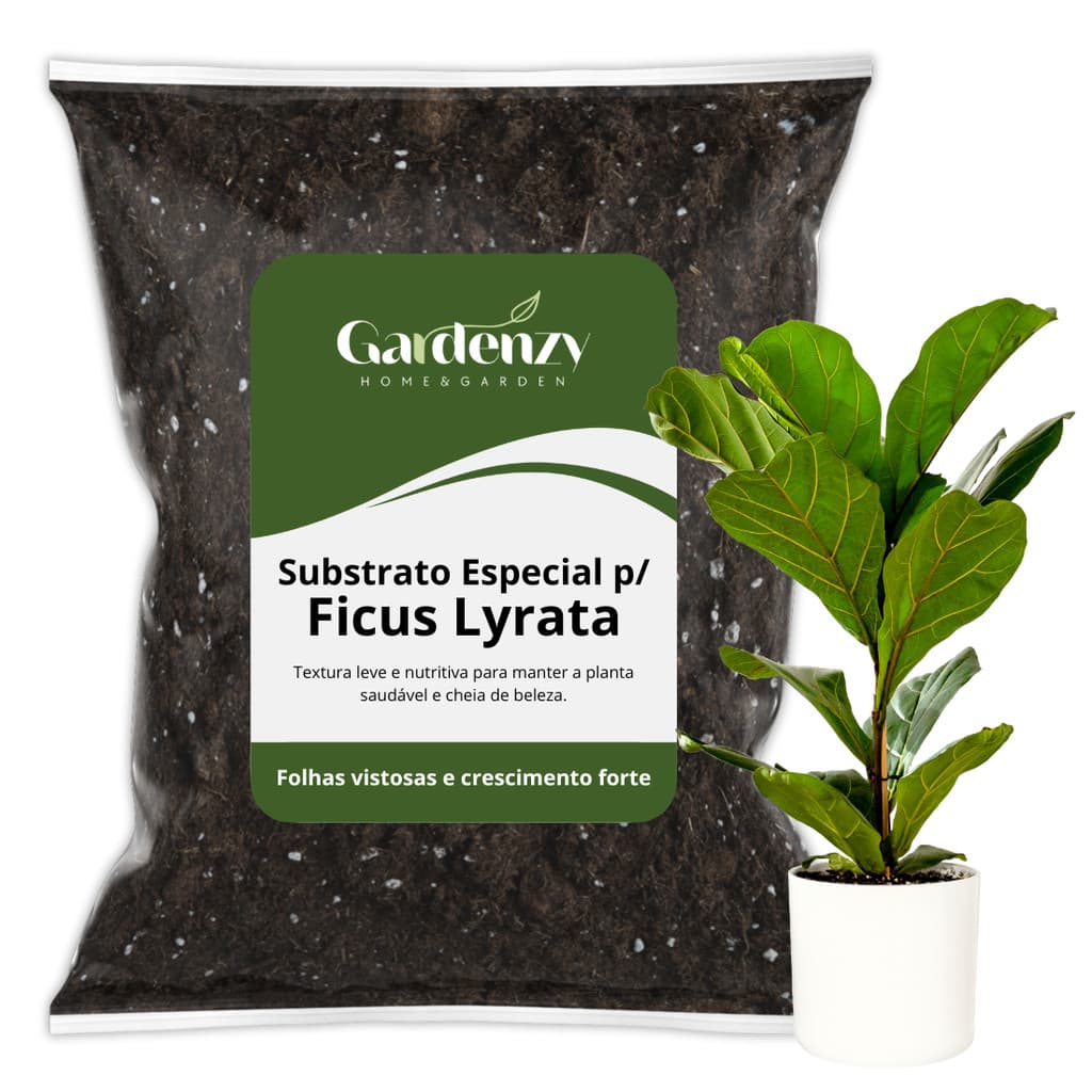 Substrato para Ficus Lyrata – Folhas Grandes e Saudáveis