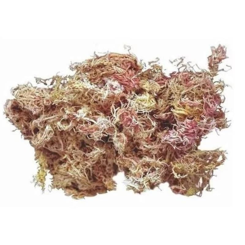 Musgo Sphagnum Sfagnum Esfagno Rosa Para Orquídeas Decoração Artesanato 2/4/6/8/10/12L