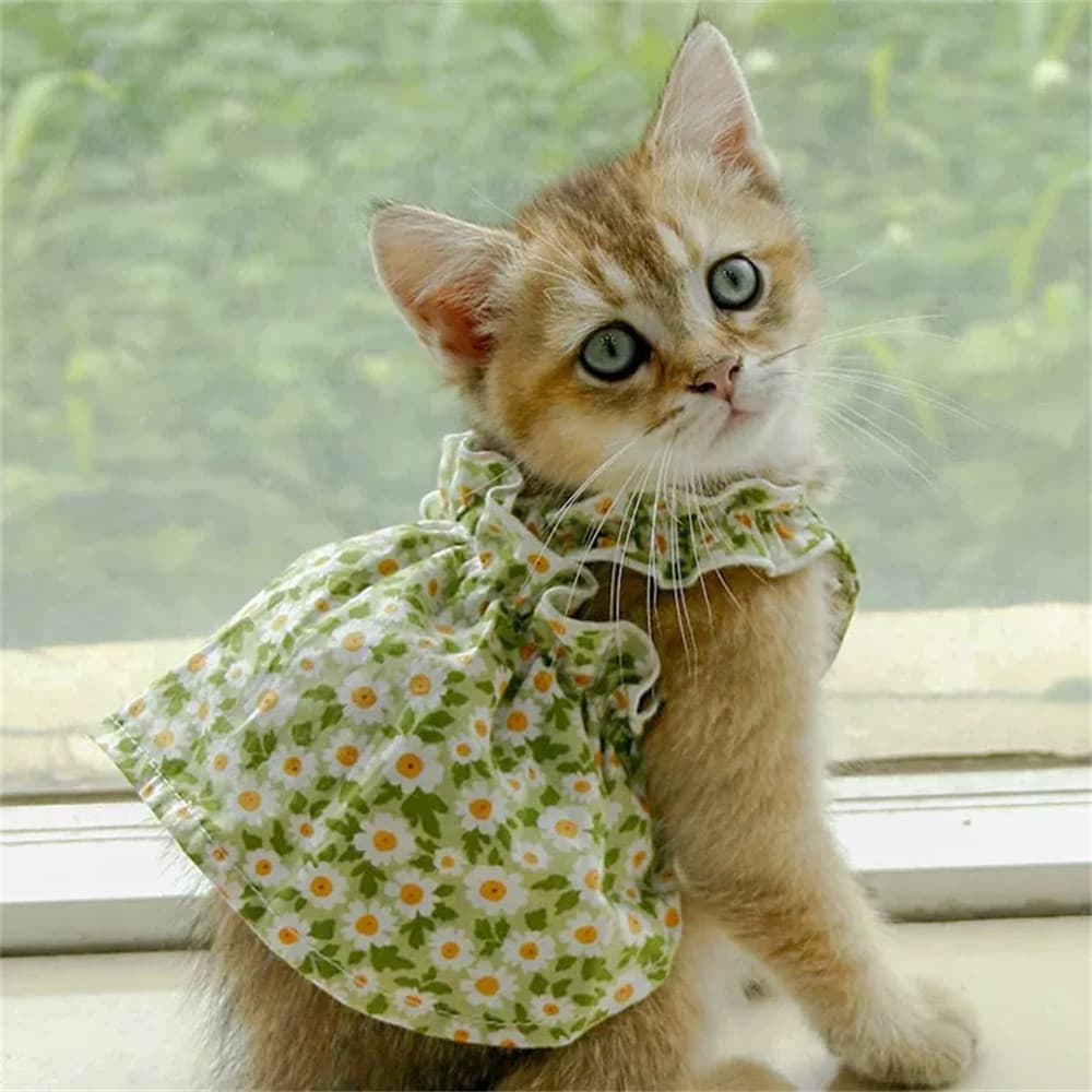 Verão Algodão Sphynx Gato Suspender Saia Amor Flor Pet Vestidos De Princesa Para Gatos Cão Vestido Roupas