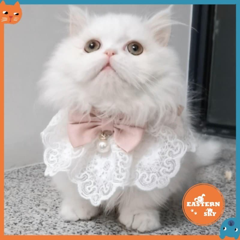 Toalha De Baba Para Animais De Estimação , Coleira De Gato , Princesa , Renda , Cachecol , Fofo , Nobre , Colar De Cacho