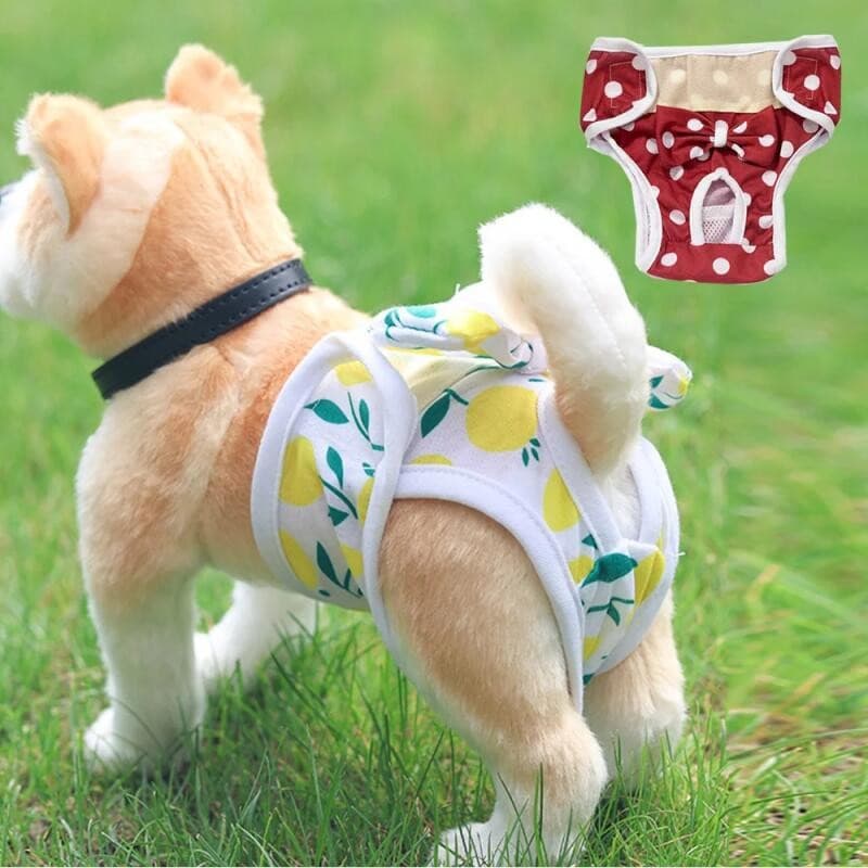 S-XL Fraldas Para Cães Calças Fisiológicas Filhote De Cachorro Feminino Calcinha Shorts Roupa Interior Lavável Cão Diper