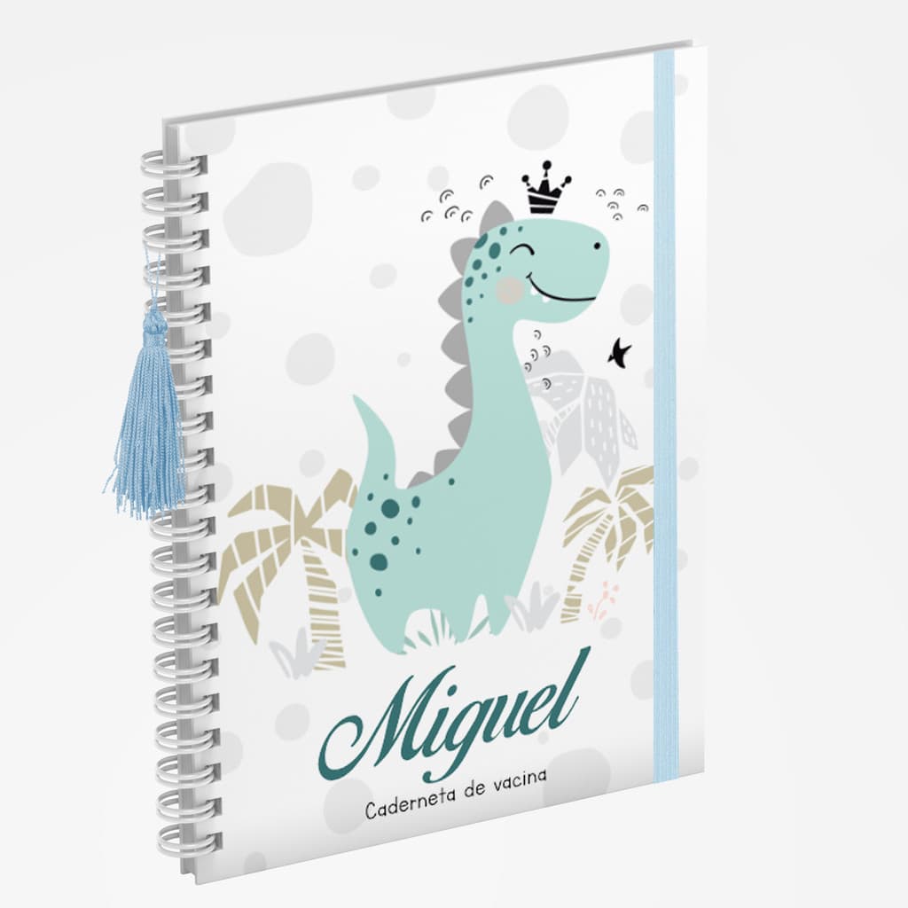 Caderneta de Vacina Vários Modelos Masculina Completa Dinossauro 6 Dr Gráfica