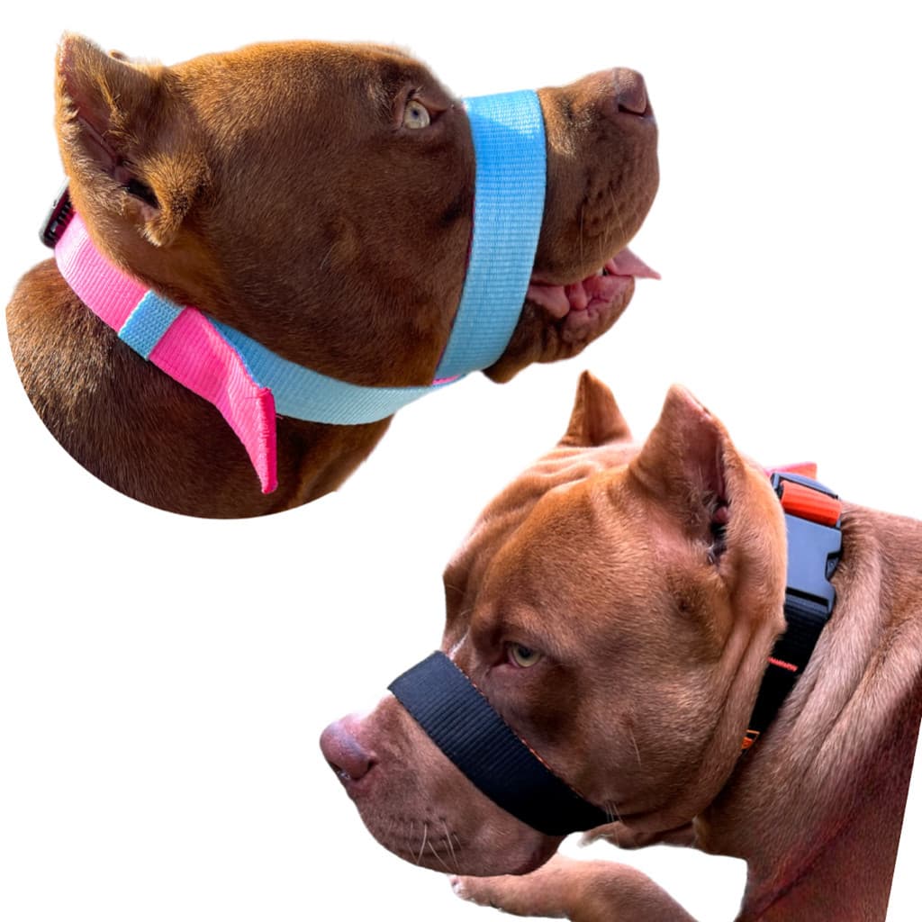 A Melhor Focinheira Do Mercado Pet Para Cachorro Cão Pitbull Salu Pet