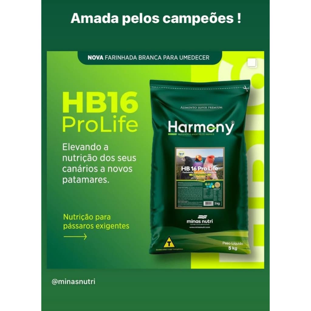 HARMONY HB 16 PRO LIFE FARINHADA BRANCA PARA UMEDECER 5KG