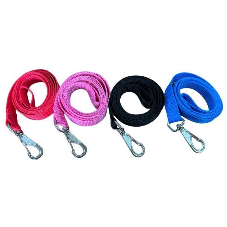 Guia longa (1,0, 1,20, 1,50, 2,00, 2,50 e 3,0 metros) Para Passeio e Adestramento De Cães - Fita 20mm