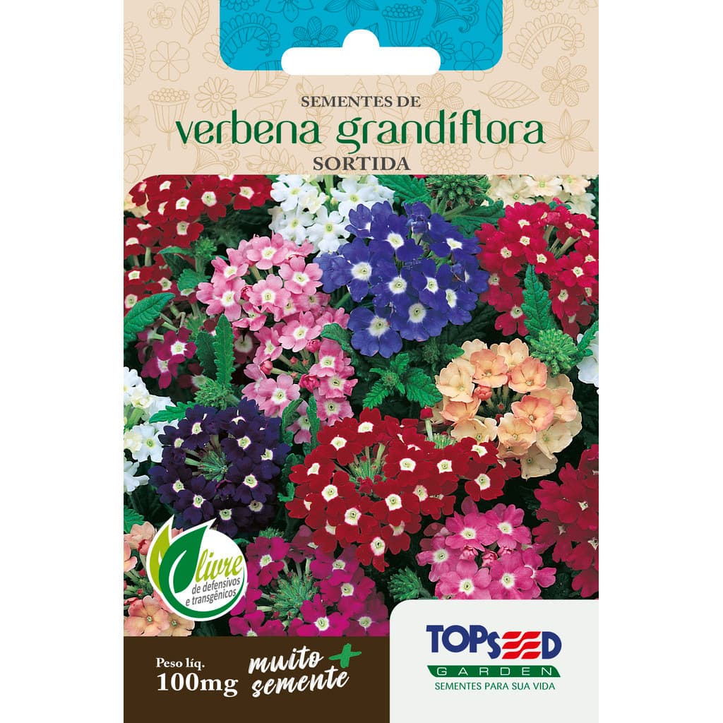 Sementes de Verbena Sortida 100mg Flores Perfumadas Vasos Jardins