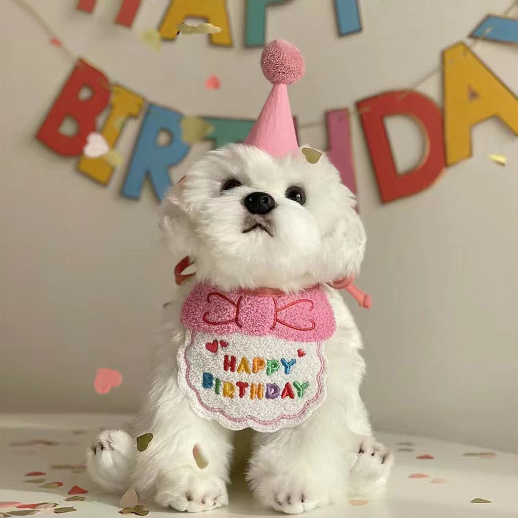 Faça o seu aniversário de estimação especial com este adorável chapéu de aniversário de cachorro de gato e conjunto de t