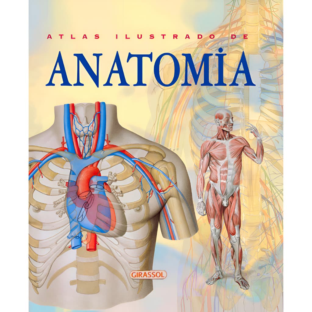 ATLAS ILUSTRADO DE ANATOMIA COM IMAGENS COLORIDAS - CORPO HUMANO