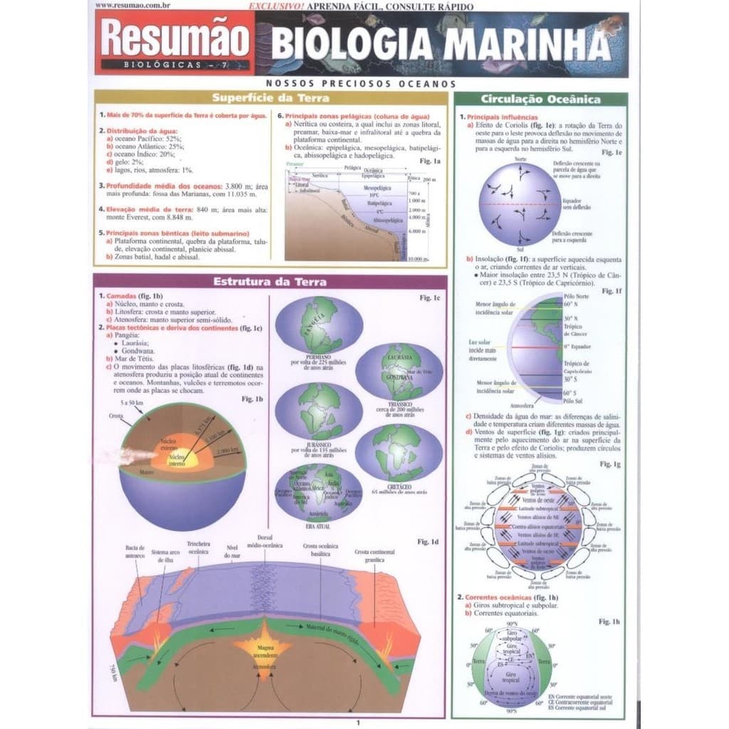 Livro - Resumao - Biologia Marinha