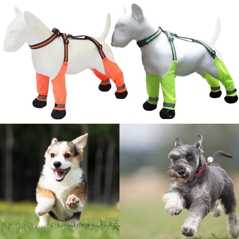 HO Suspensórios Para Bota De Cachorro , Protetores De Pés Atividades Ao Ar Livre , Sapatos Reflexivos Antiderrapantes An