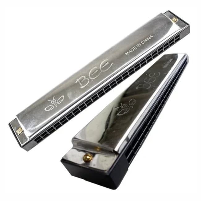 Gaita De Boca Harmônica Bee 48 Furos Prata Para Iniciante em C