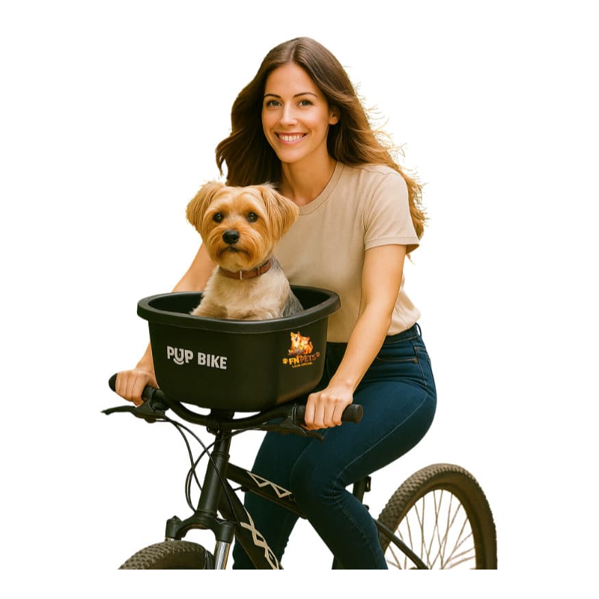 Cadeirinha cadeira caixa Pet bike cachorro e gato para bicicleta cesto de brincar e lazer pets