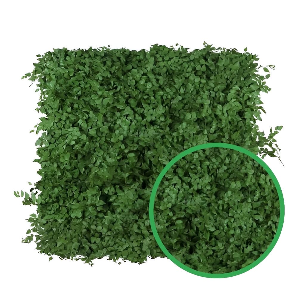 Painel Muro Inglês 50x50cm com Jardim Vertical