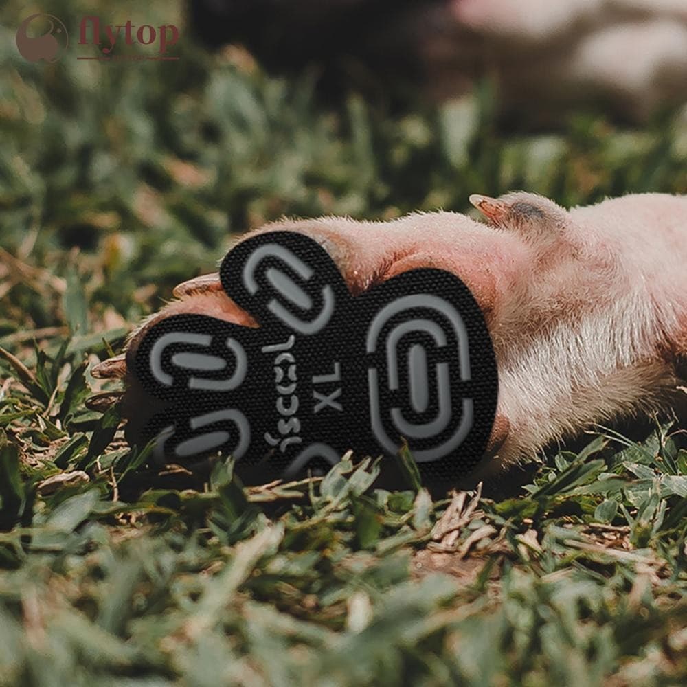 FLYTOP 4 Pçs Cão Antiderrapante Pé Remendo Pata Apertos Almofadas De Tração Adesivos De Proteção De Com Adesivo Mais For