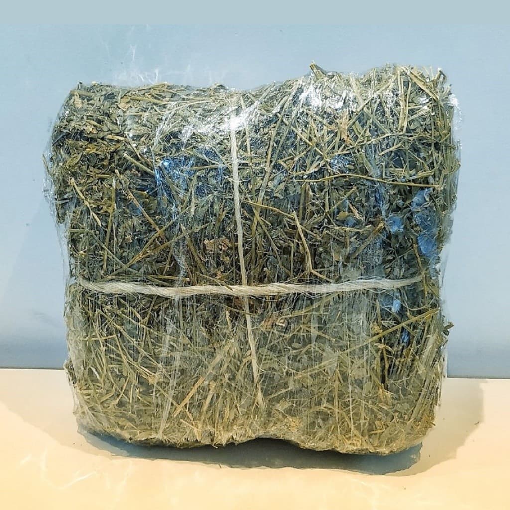 2 kg de Feno de Alfafa Premium para Coelho Porquinho da índia Chinchila Gerbil