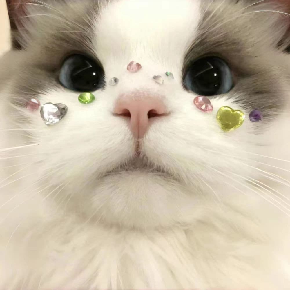 Kit 20-25 Pcs Adesivo 3D Pet Banho e Tosa Colorido Cachorro Gato Laço Elástico Bindi Piercing