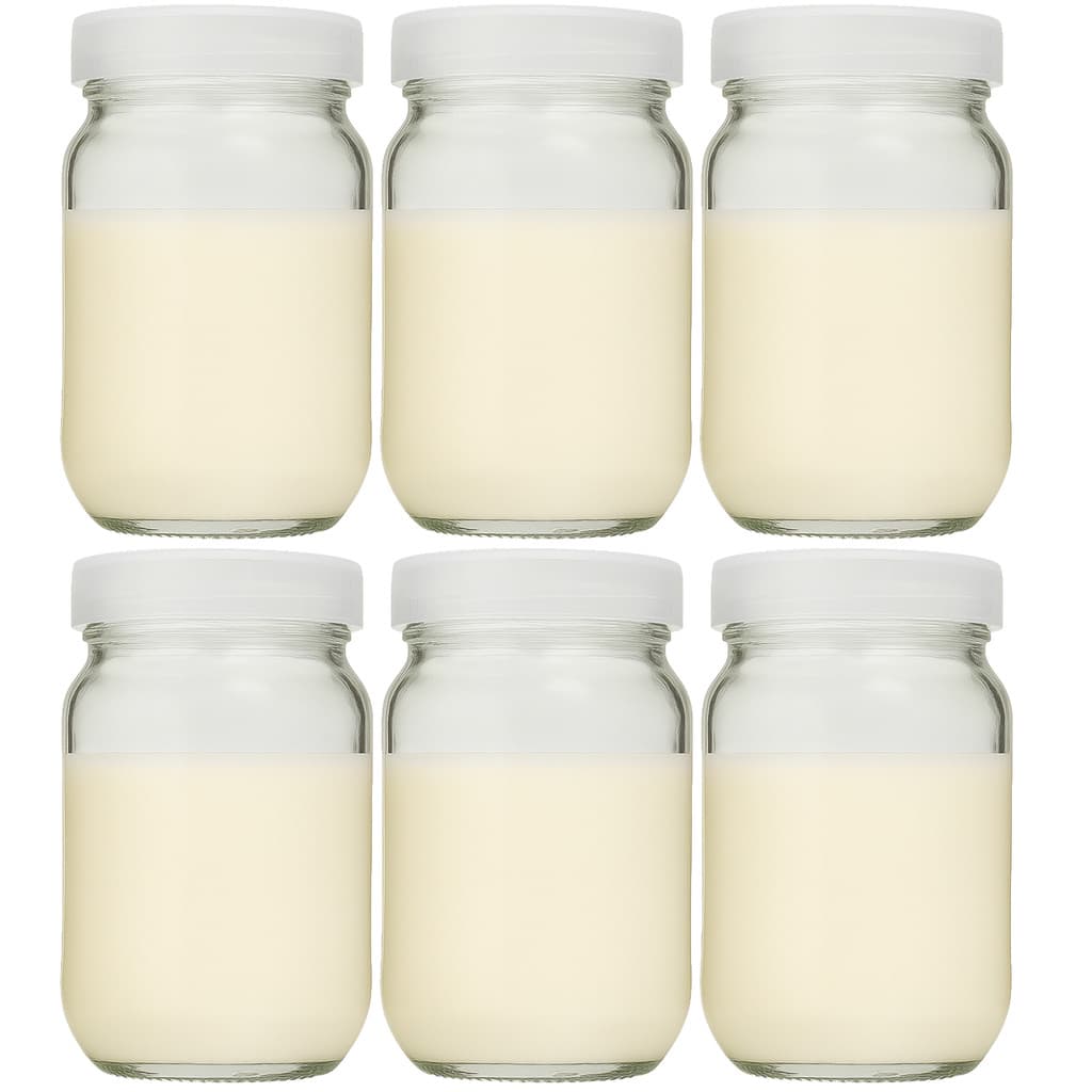 Pote para Leite Materno de Vidro Tampa Plastica BPA Free 200ml - 6 Unidades