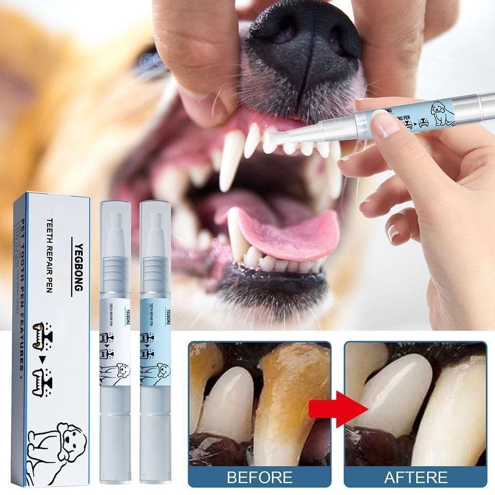 2pcs 3ML Caneta de limpeza de dentes de animais Conjunto de limpeza de dentes de animais de estimação Caneta
