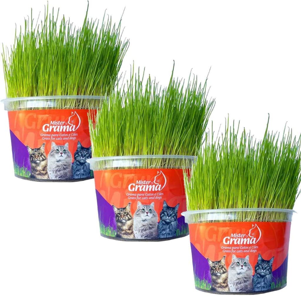 Graminha Para Gatos Elimina Bola De Pelo Kit Com 3 UN