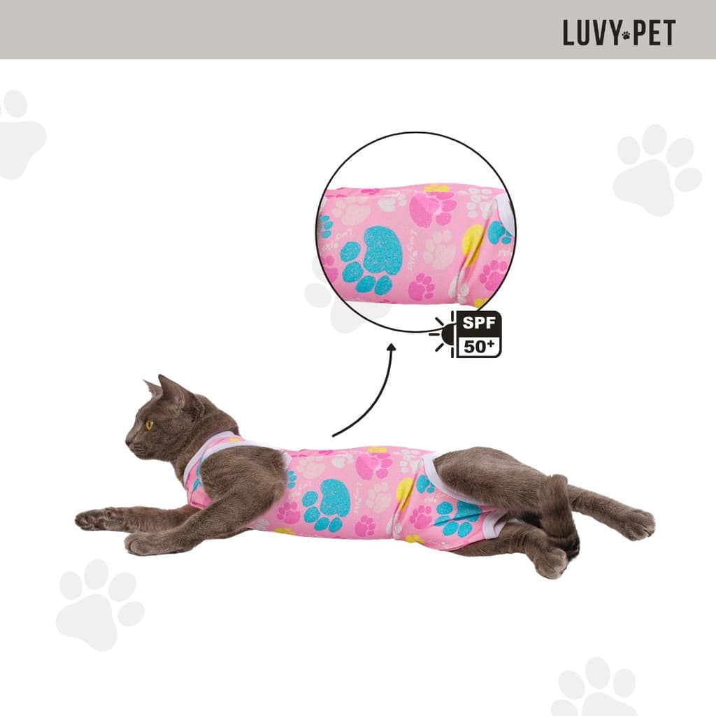 Roupa Gato Pós Cirúrgica Castração Patas
