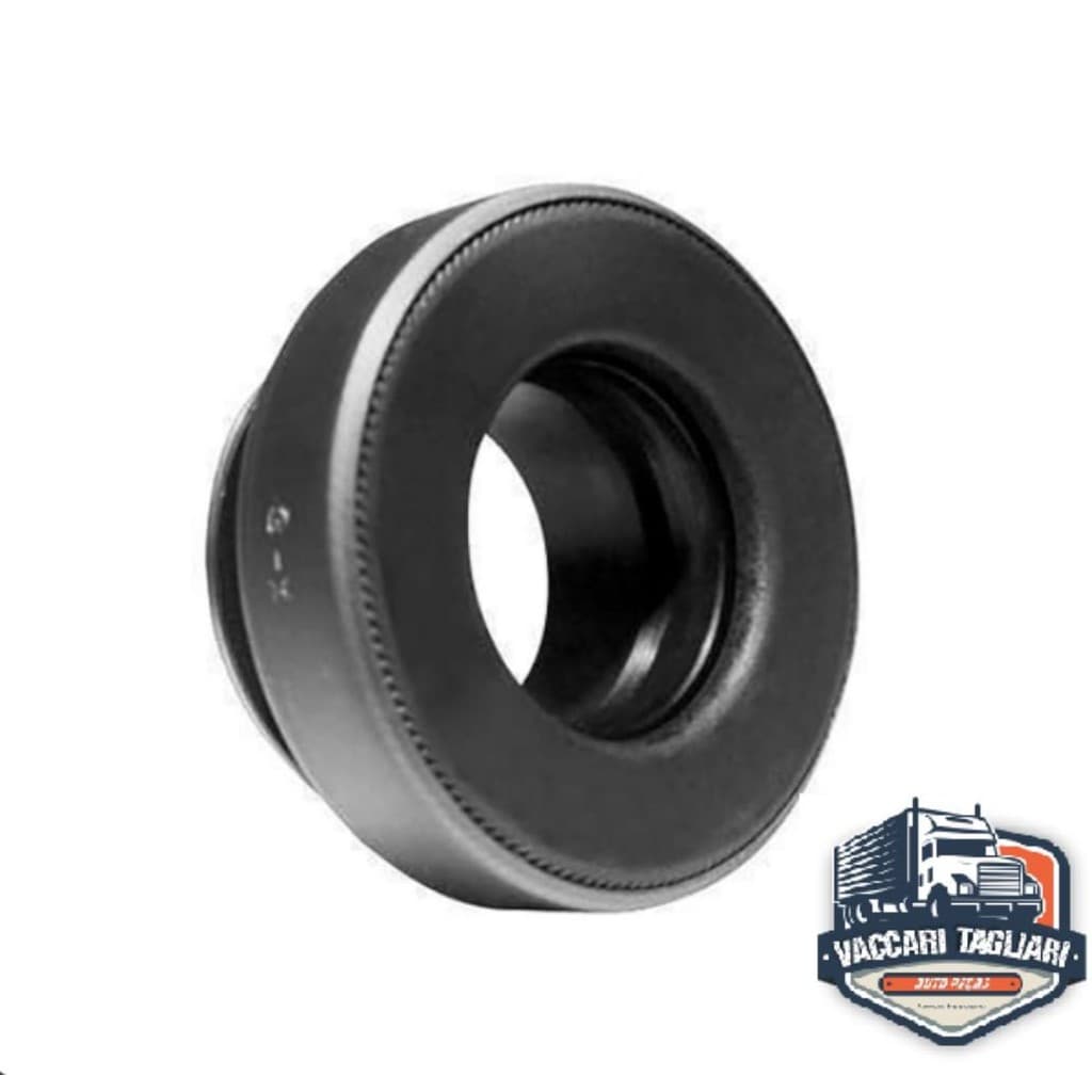 Rolamento Embreagem Troller T4 2.8 E 3.0