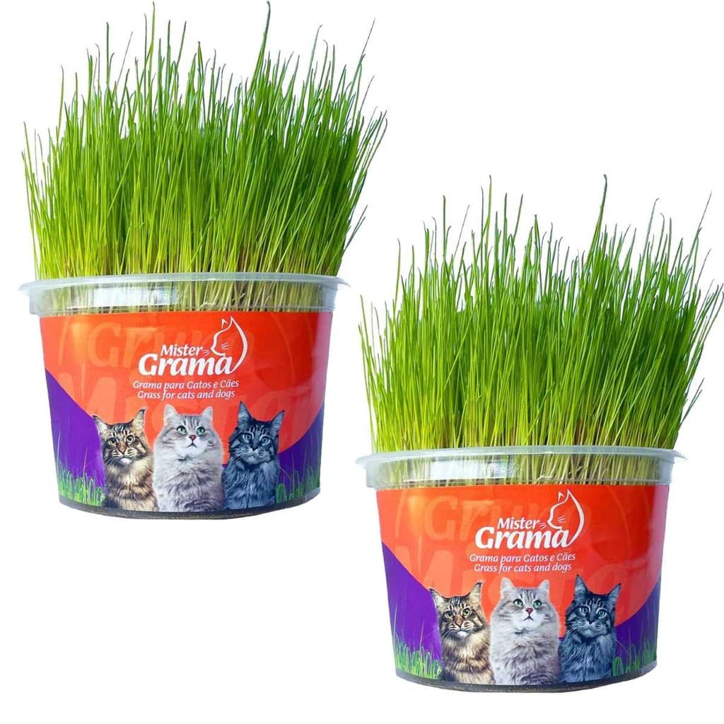 Grama Mister Para Gatos Bola De Pelo Kit 2 Unidades