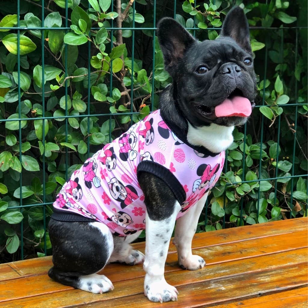 Camiseta Roupinha Pet Regata Temática Cães Gatos Macho Fêmea Aumei