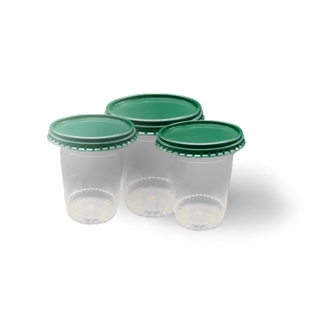 Potes Com Tampas Verdes PCT 25 UN (200 ml)