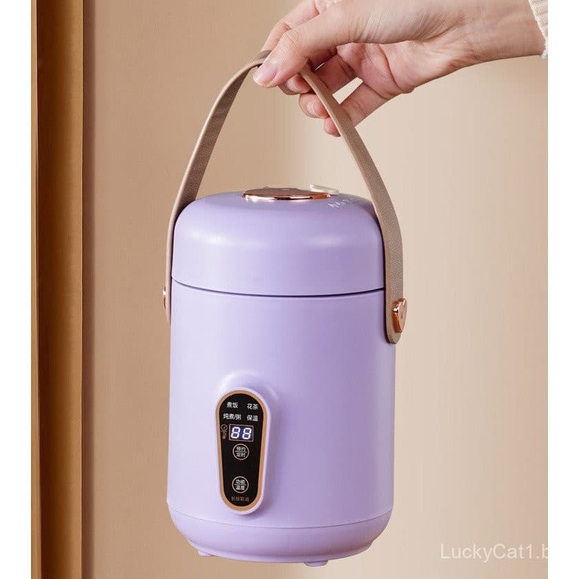 220V/110V elétrico sopa cozinhar mingau de comida multifuncional panela de arroz portátil utensílios de cozinha doméstic