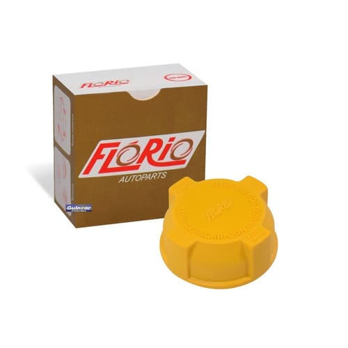 Tampa Reservatório De Água Fiesta 2002 Em Diante