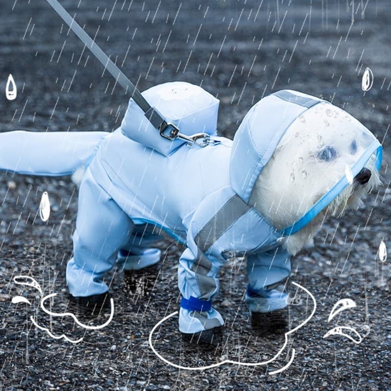 CM Capa Para Estimação Equipamento Desgaste Caminhada Ar