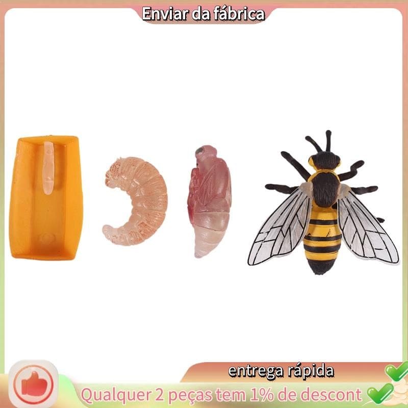 Pacote De 4 Estatuetas De Insetos Ciclo De Vida De Abelha De Mel Figuras Realistas Brinquedos Educativos Modelo De Ciênc