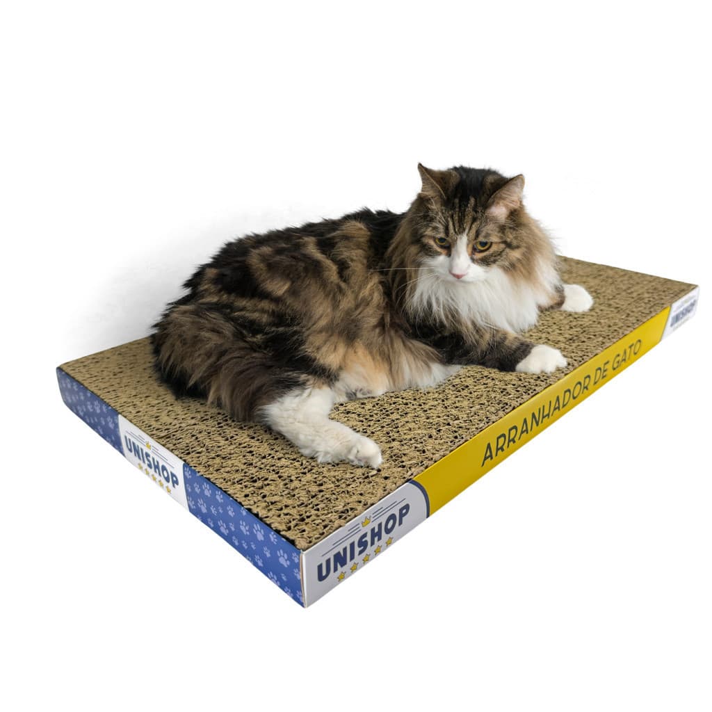 Arranhador Para Gato de Papelão Prático e Moderno Reforçado