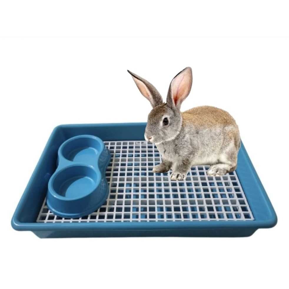 BANDEJA SANITÁRIA ESPAÇOSO PARA PORQUINHO DA ÍNDIA COELHO COM GRADE + COMED. DUPLO