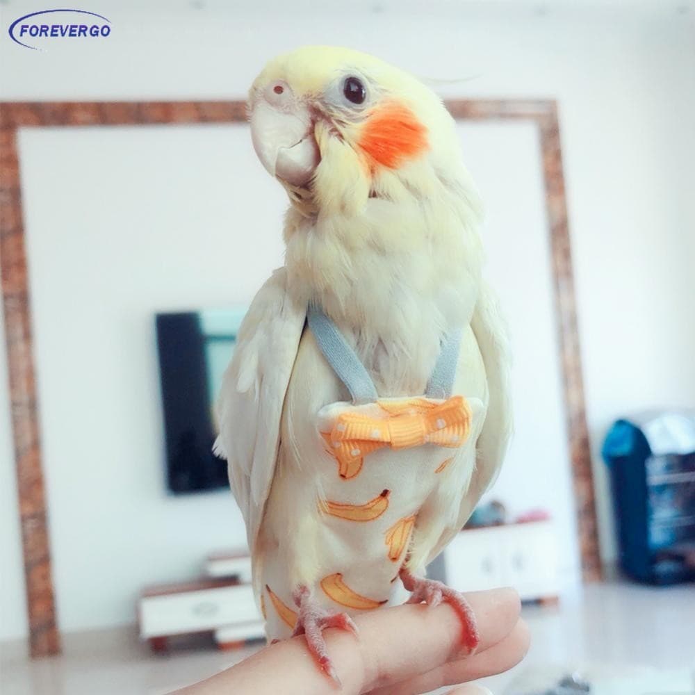 FR Pássaro Papagaio Fralda Calopsita Pombos Terno De Vôo Roupas Médio Grande Animais De Estimação Pássaros Fezes Bolso