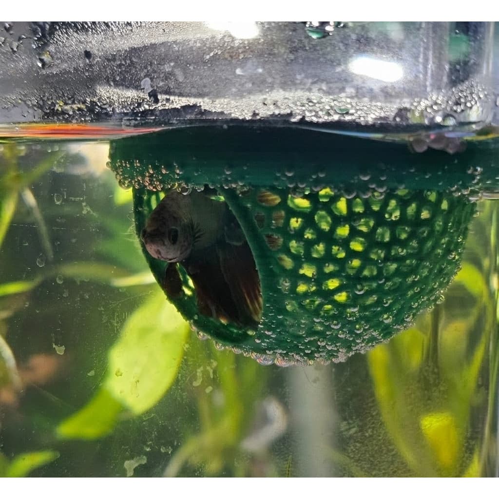 Esconderijo Flutuante Betta - Toca Cama Folha para Aquário