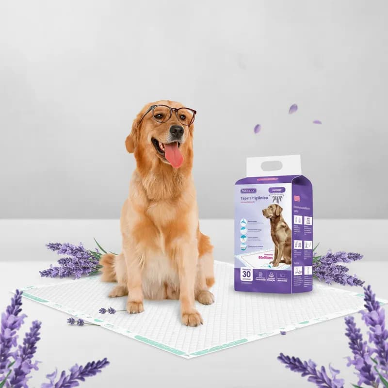 Newpet 30 Unidades Tapete Higiênico Ultra Pad 80x60cm Lavanda Cães Tapete Higienico - com Borda Sem fugas