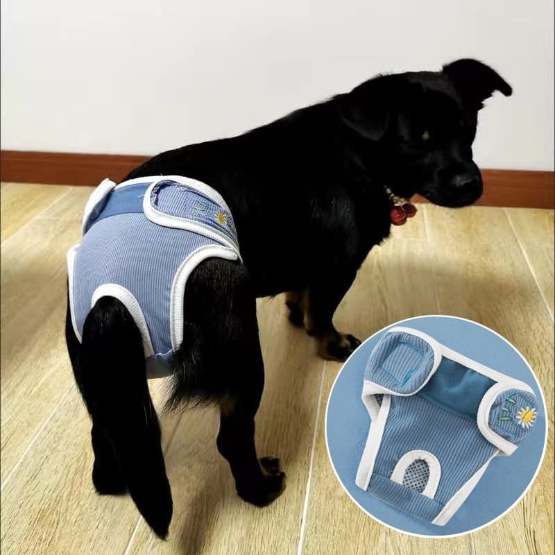 Fraldas Para Cães Gatos Sweet Print Dog Fisiológicas Femininas Pequenos E Médios Calças De Segurança Íntimas mascotas