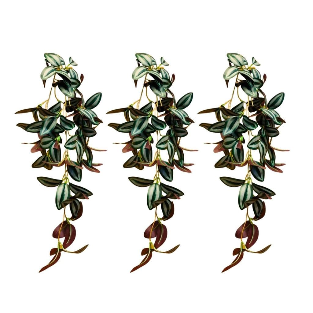 Kit 3 Buque Folhagem Pendente Lambari Planta Artificial