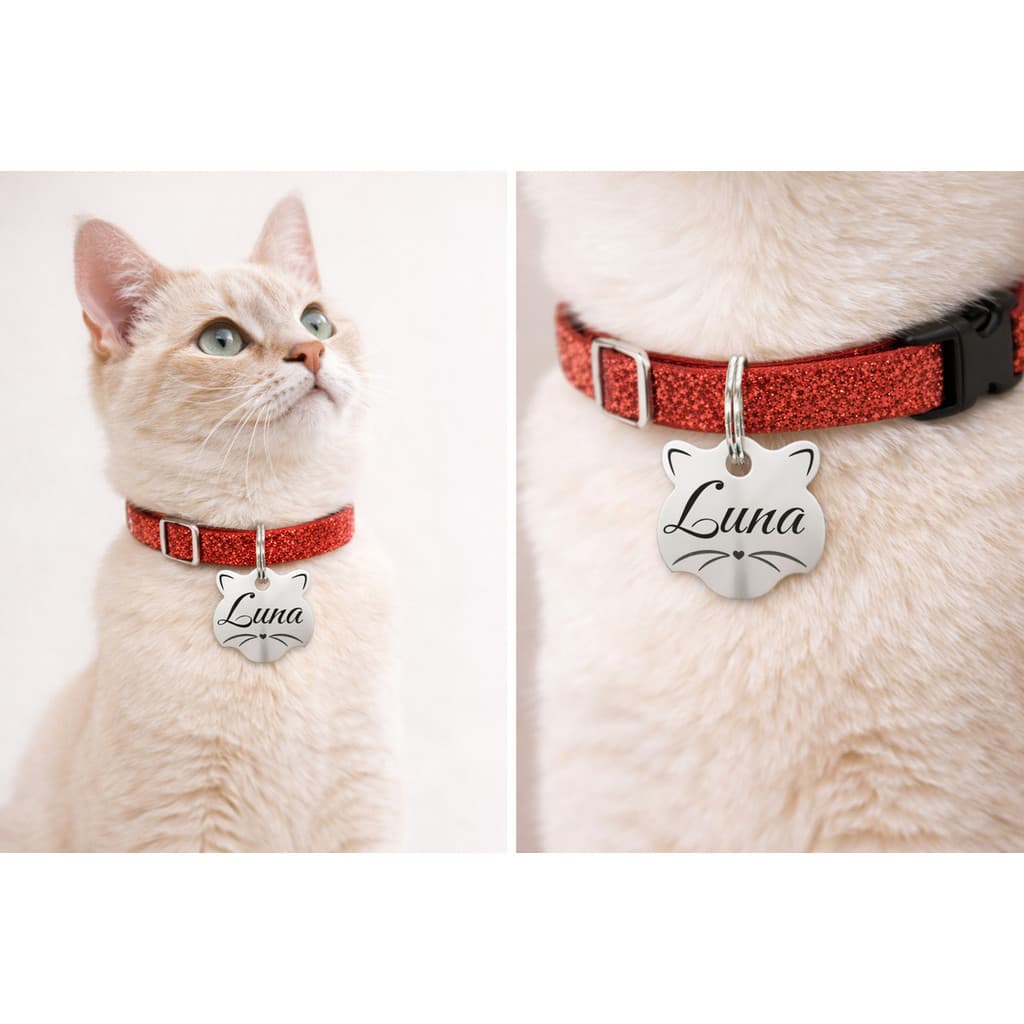 Coleira Gato Luxo Anti-enforcamento Placa Inox Brilho