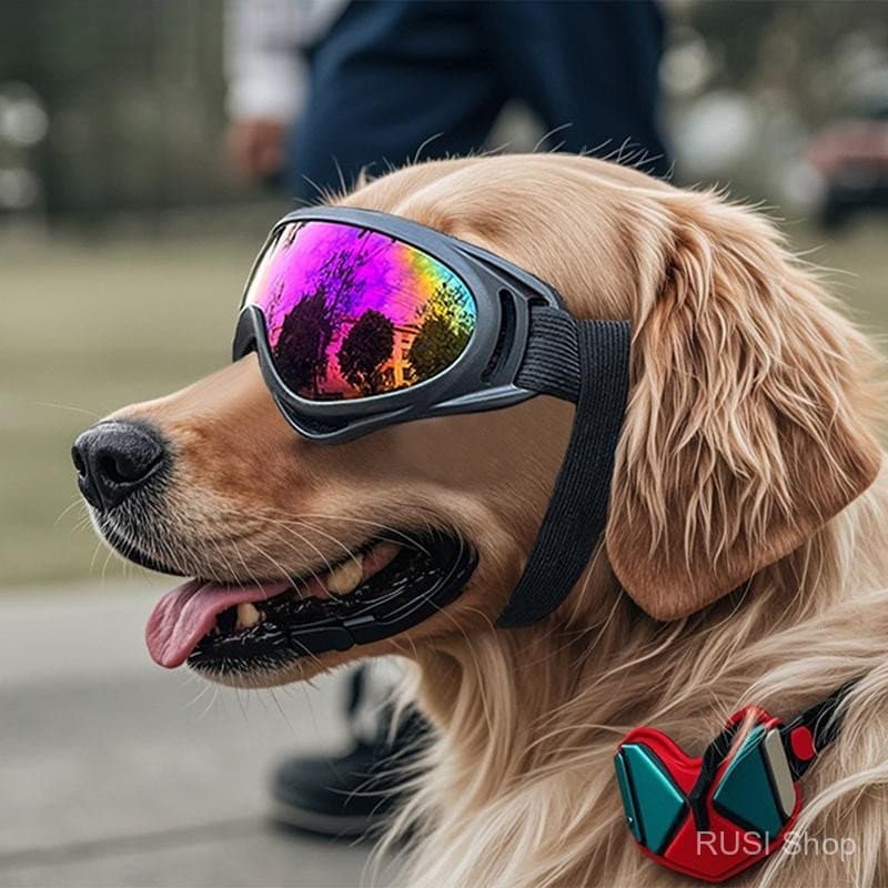 Óculos de sol adequados para cães médios e grandes, com alça ajustável e proteção UV para cães, filhotes, passeios