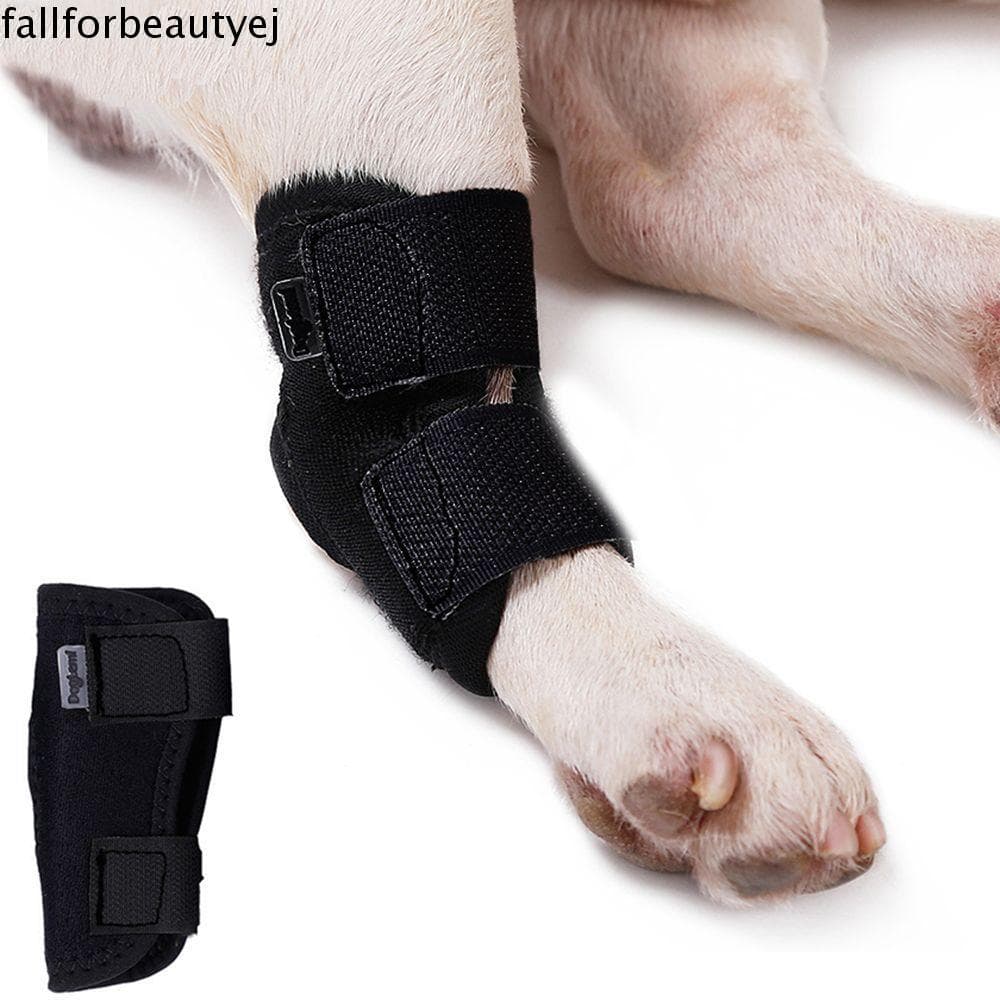 FALLFORBEAUTYEJ Cinta De Suporte Para Cães Preta Leve Pequenos , Médios E Grandes