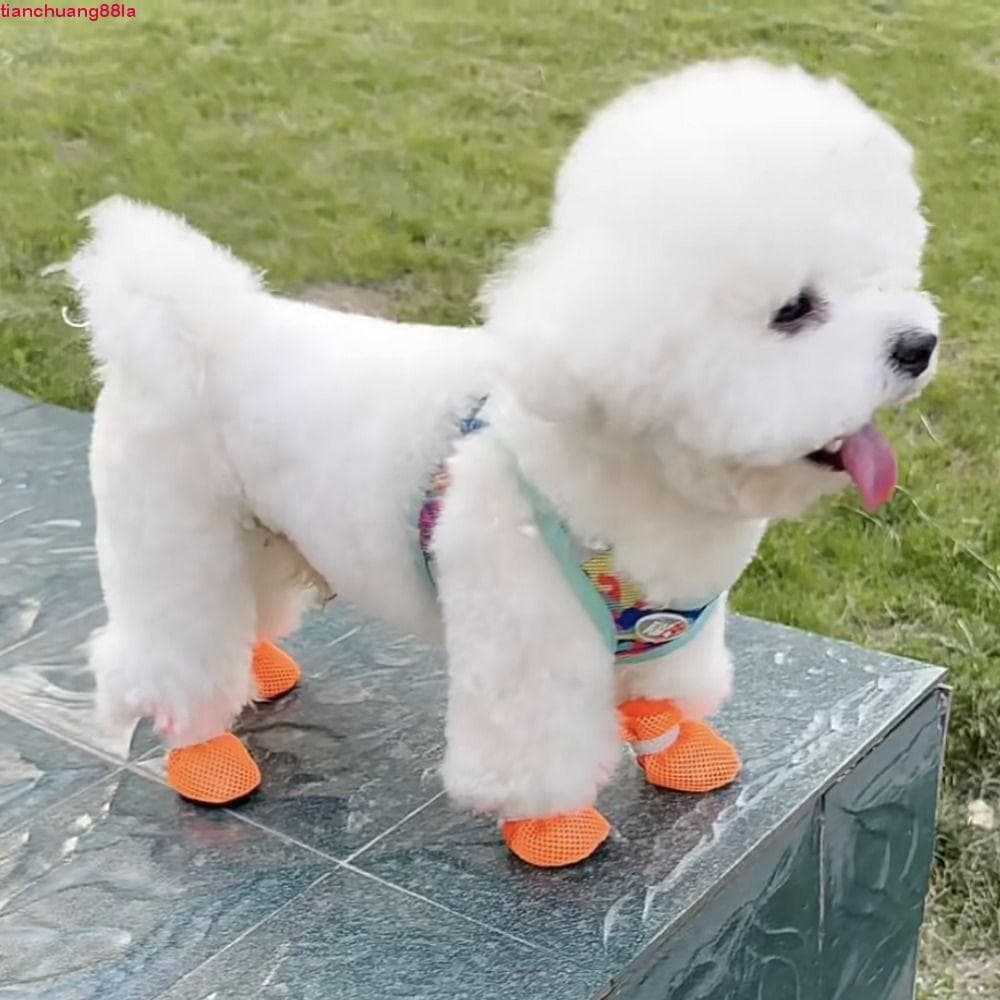 TIANCHUANG 4 Unidades/Conjunto Sapatos De Rede Para Cães , Malha Respiráveis Resistentes Ao Desgaste Antiderrapantes Oco