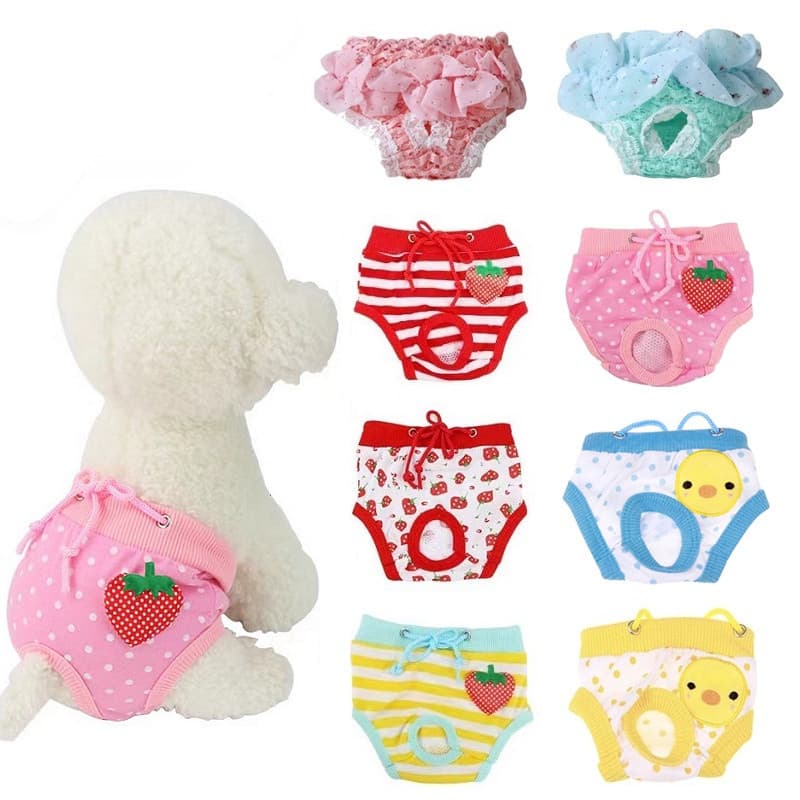 Calças Fisiológicas Laváveis para Animais de Estimação Fraldas para Filhotes de Gato