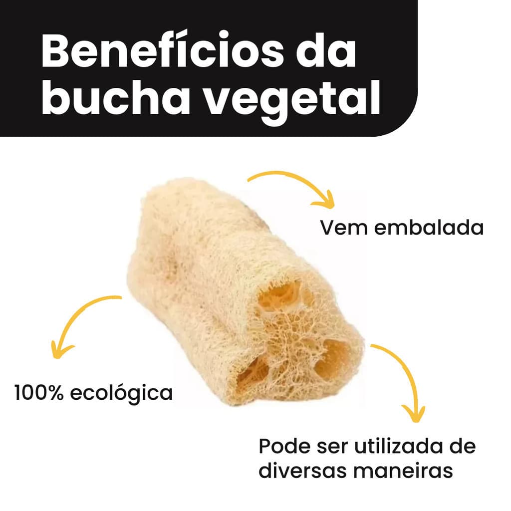 Kit 05 Esponja Bucha Vegetal Natural Banho Esfoliação Promoção Embalada