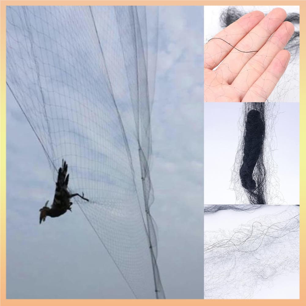 Rede De Pássaros Videira Frutas Malha Preta Proteção De Colheita 6m 4m Pretos Para Dissuasor De Pragas Pomar Suprimentos