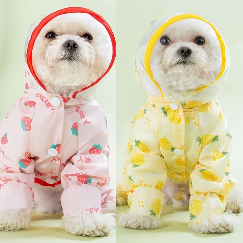 Fêmea Macho Cachorro Capa De Chuva Cartoon Frutas Impressão Roupas Para Cães Animais De Estimação Rainy Pet Suprimentos