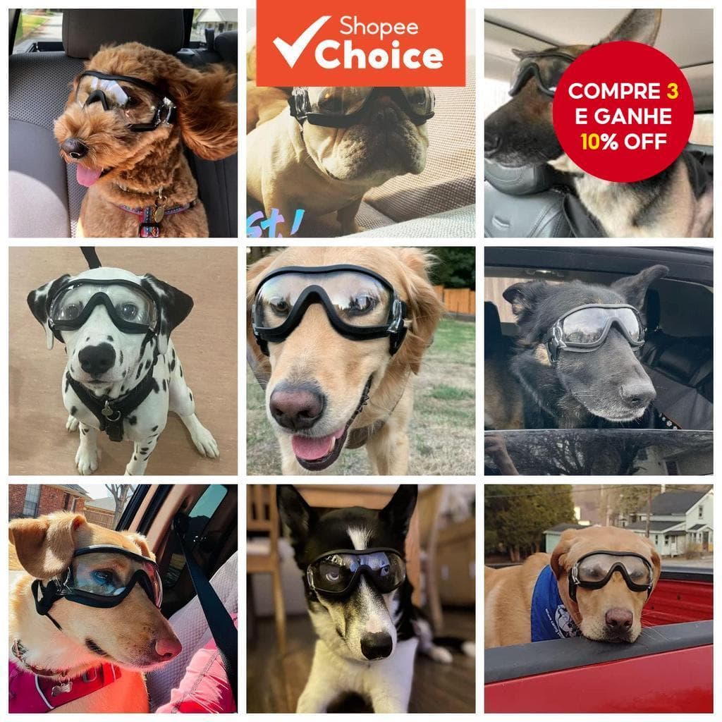 Óculos Transparentes UV para Cães Grandes, à Prova de Vento, Poeira e Resistentes à Neve.