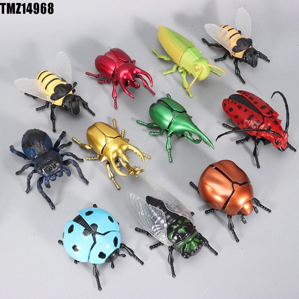 Brinquedo Modelo De Inseto TMZ14968 , Simulação De Cigarra Scarab Corrente Enrolamento Brinquedos De Insetos , Besouro D